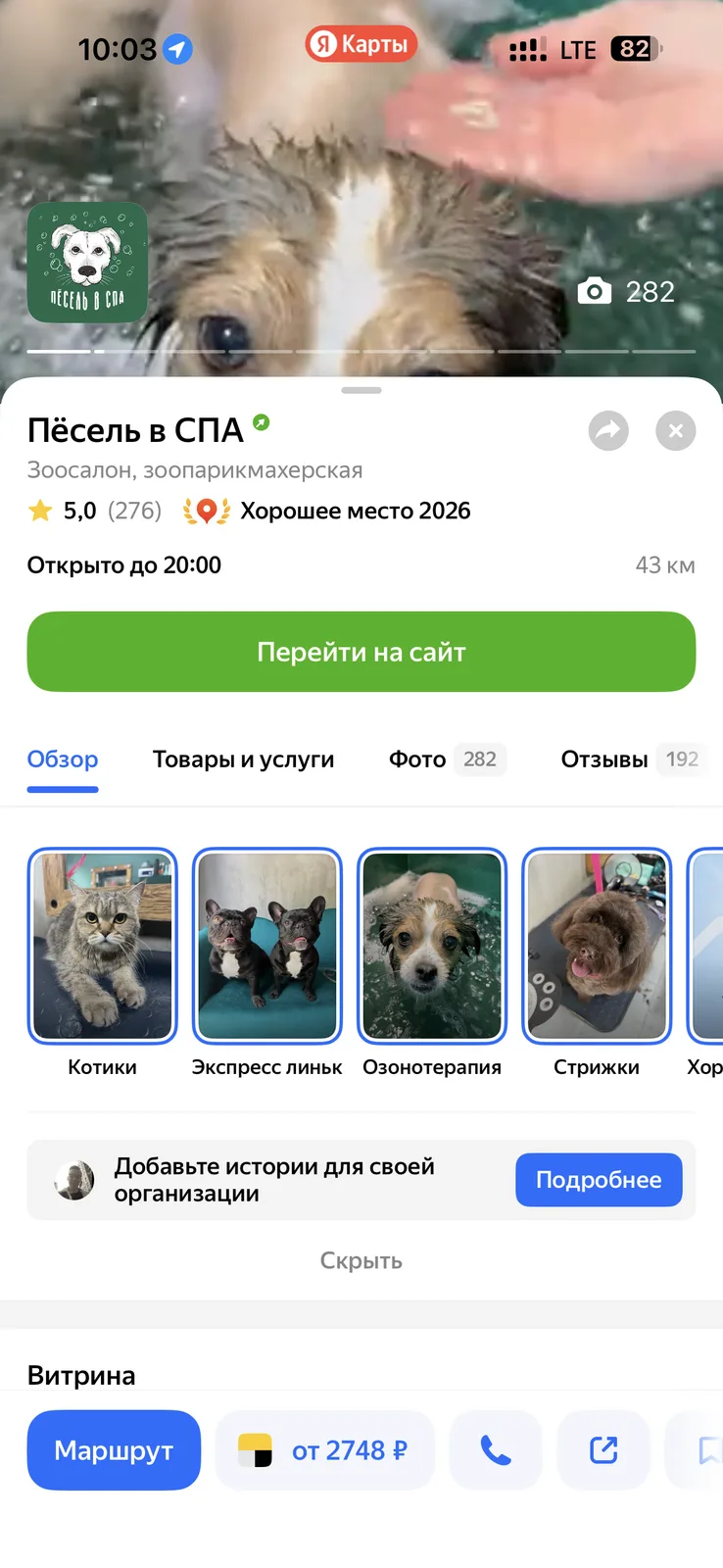 Пёсель в СПА